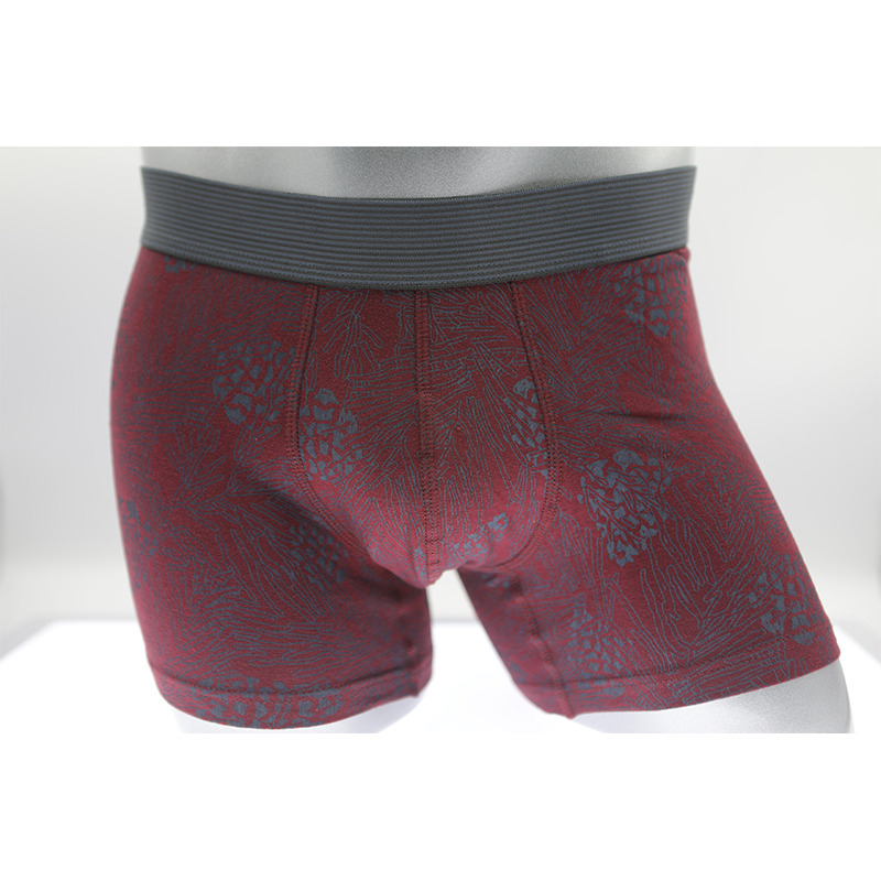 Boxer Homme Grand Rouge